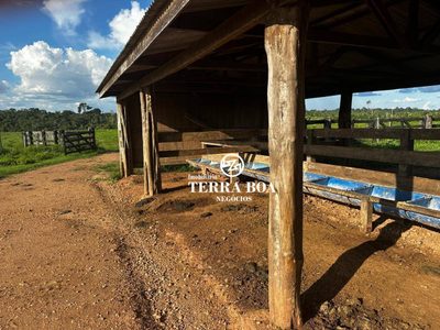 Fazenda, 968 hectares - Foto 3