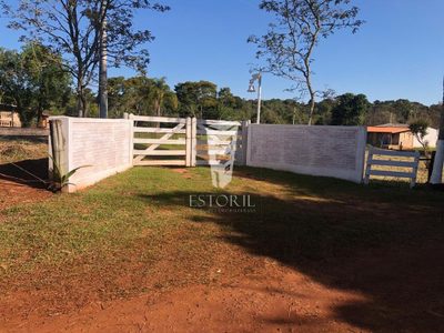 Chácara, 4 quartos, 2 hectares - Foto 3