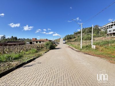 Terreno, 303 m² - Foto 4
