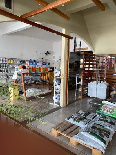 Sala-Conjunto, 200 m² - Foto 2