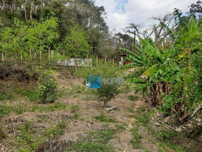 Loteamento e Condomínio, 5000 m² - Foto 1