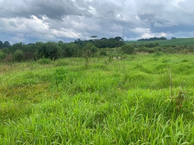 Terreno, 2980 m² - Foto 3