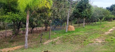 Terreno, 324 m² - Foto 3