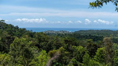 Fazenda, 2 hectares - Foto 4