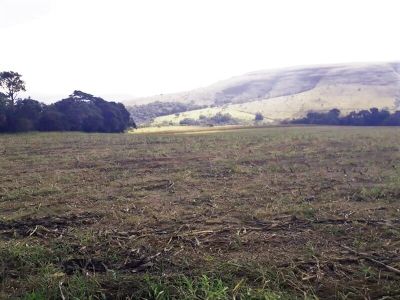 Fazenda, 427 hectares - Foto 4