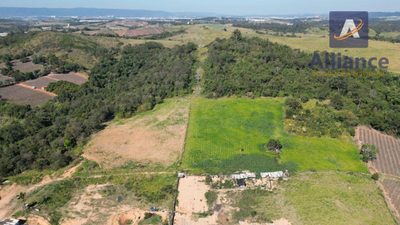Terreno, 4 hectares - Foto 5