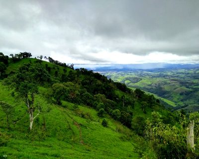 Sítio, 19 hectares - Foto 4