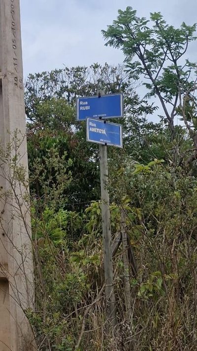 Chácara, 1 quarto - Foto 2