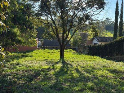 Terreno, 1000 m² - Foto 3