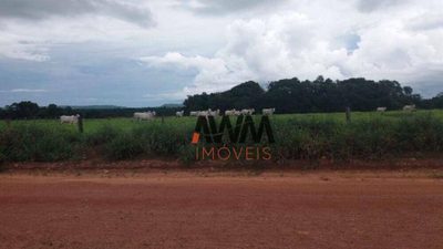 Fazenda, 8596 hectares - Foto 4