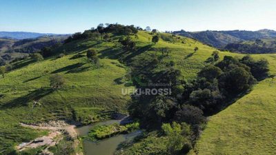 Fazenda, 387 hectares - Foto 3