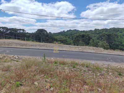 Terreno, 450 m² - Foto 3