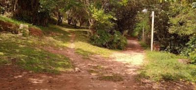 Terreno - Foto 5