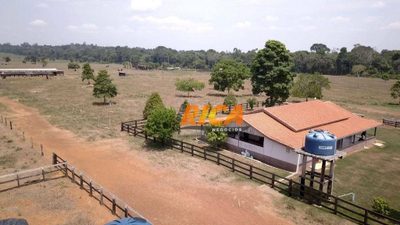 Fazenda, 928 hectares - Foto 4