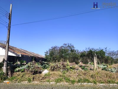 Terreno, 596 m² - Foto 2