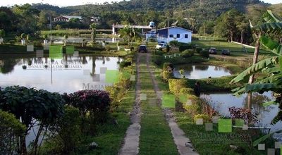 Chácara, 7 quartos, 300 m² - Foto 2