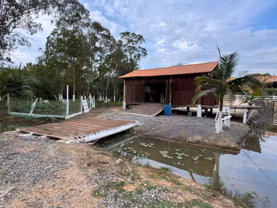 Chácara, 3145 m² - Foto 1