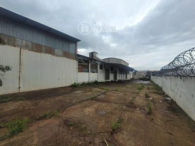 Depósito-Galpão, 3000 m² - Foto 4