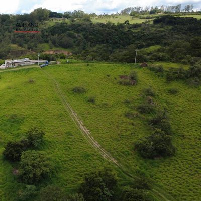 Terreno, 4 hectares - Foto 3