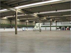 Depósito-Galpão, 4771 m² - Foto 1
