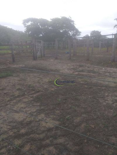 Fazenda, 2889 hectares - Foto 1