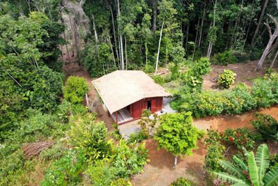 Sítio, 3 quartos, 6 hectares - Foto 3