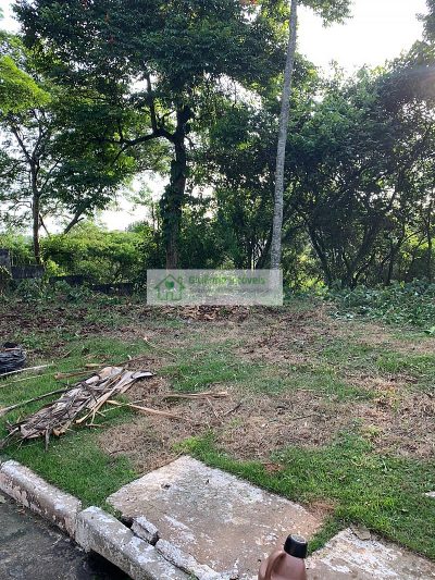 Terreno, 1005 m² - Foto 3