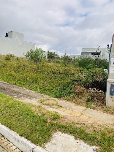 Terreno - Foto 4