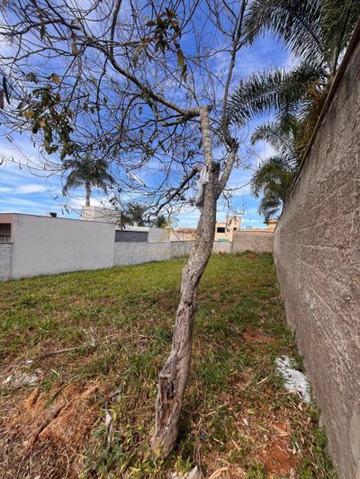Terreno, 360 m² - Foto 4