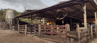 Fazenda, 100 hectares - Foto 3