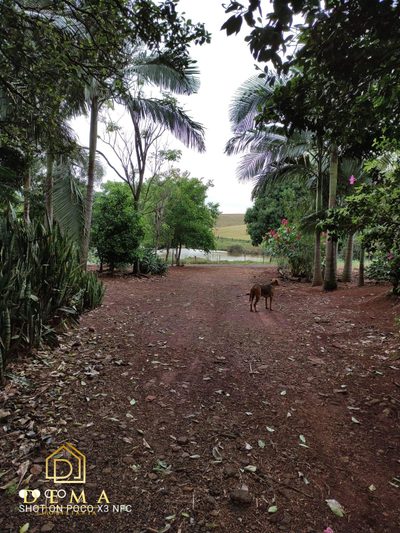 Chácara - Foto 5