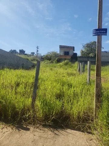 Terreno, 250 m² - Foto 4