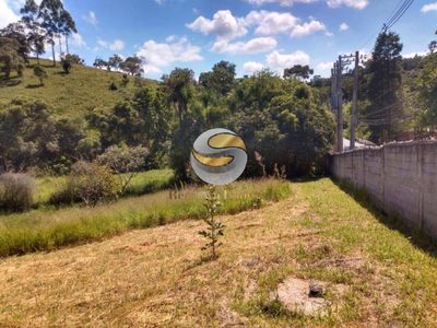 Terreno, 7967 m² - Foto 4