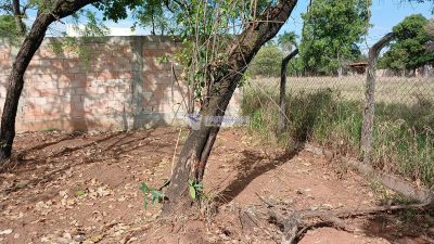 Terreno, 360 m² - Foto 3