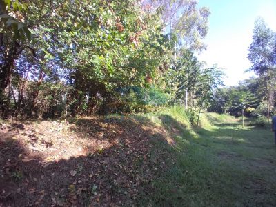 Terreno - Foto 4