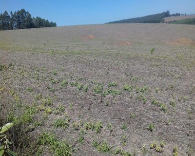 Fazenda, 106 m² - Foto 2