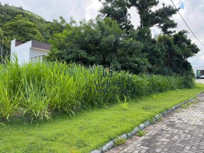 Terreno, 360 m² - Foto 4