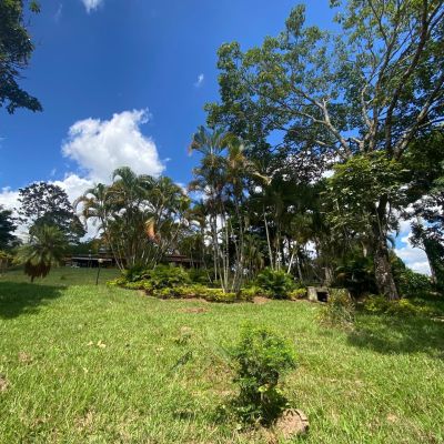 Chácara, 1 quarto - Foto 3