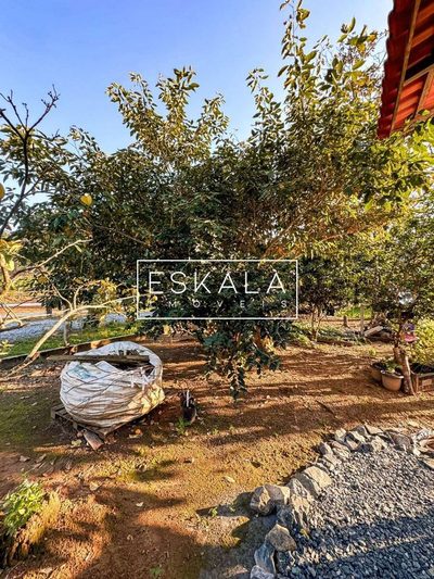 Chácara, 3 quartos, 3000 m² - Foto 4