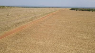 Fazenda, 2005 hectares - Foto 4