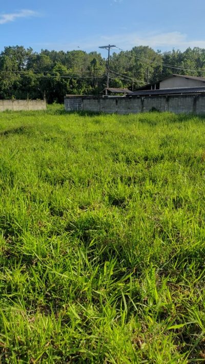 Terreno, 1000 m² - Foto 2