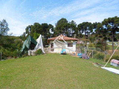Terreno, 10 hectares - Foto 2