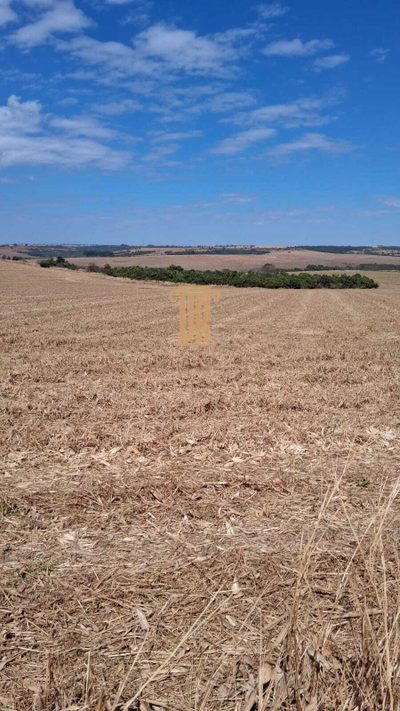 Fazenda, 1635 m² - Foto 3