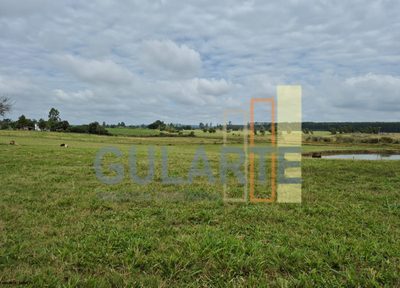 Fazenda, 85 hectares - Foto 1