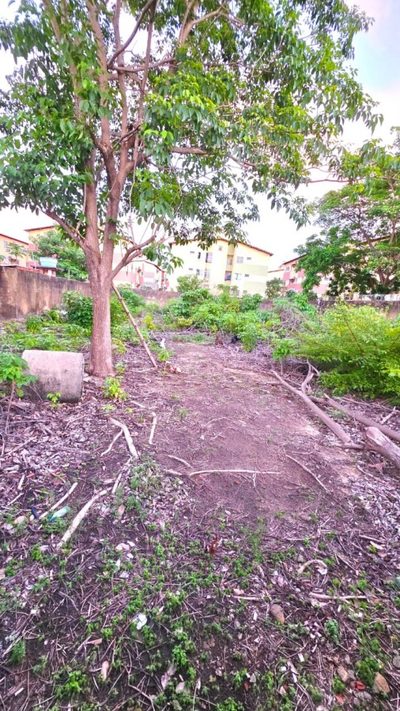 Terreno, 1000 m² - Foto 1