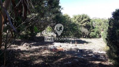 Terreno, 1000 m² - Foto 4