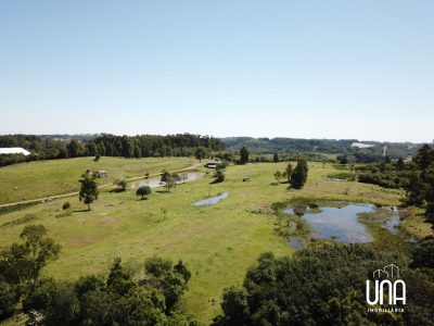 Chácara, 2 hectares - Foto 2