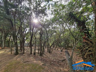 Terreno, 1575 m² - Foto 1