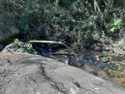 Fazenda, 200 m² - Foto 5