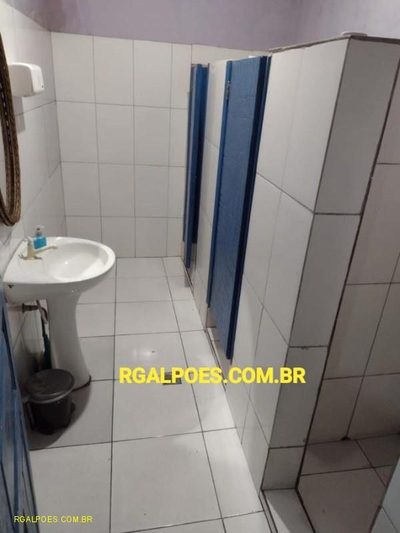 Depósito-Galpão, 1000 m² - Foto 4